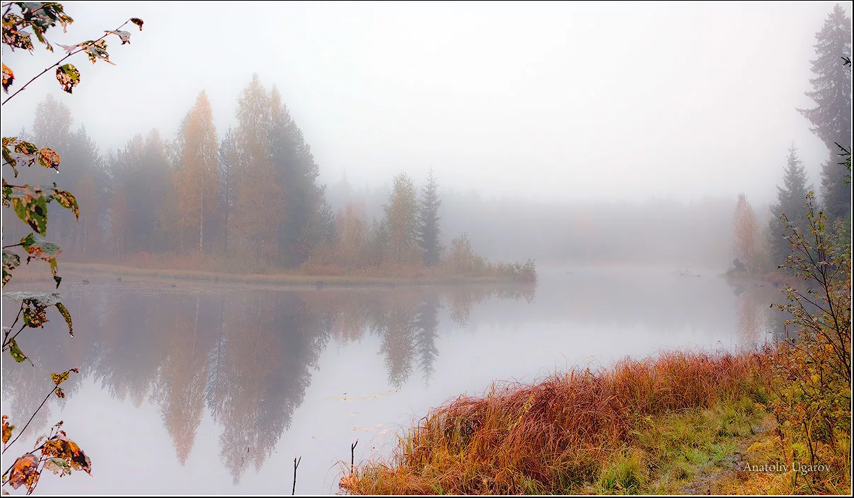 Стихотворение густой туман. Озеро туман Кондинский район. Туманный пейзаж. Туман осенью. Осень туман.