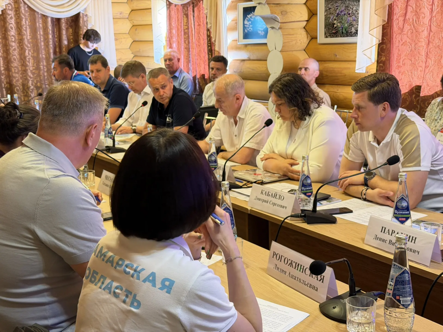 Министры спорта регионов ПФО обсудили развитие массового детско-юношеского спорта