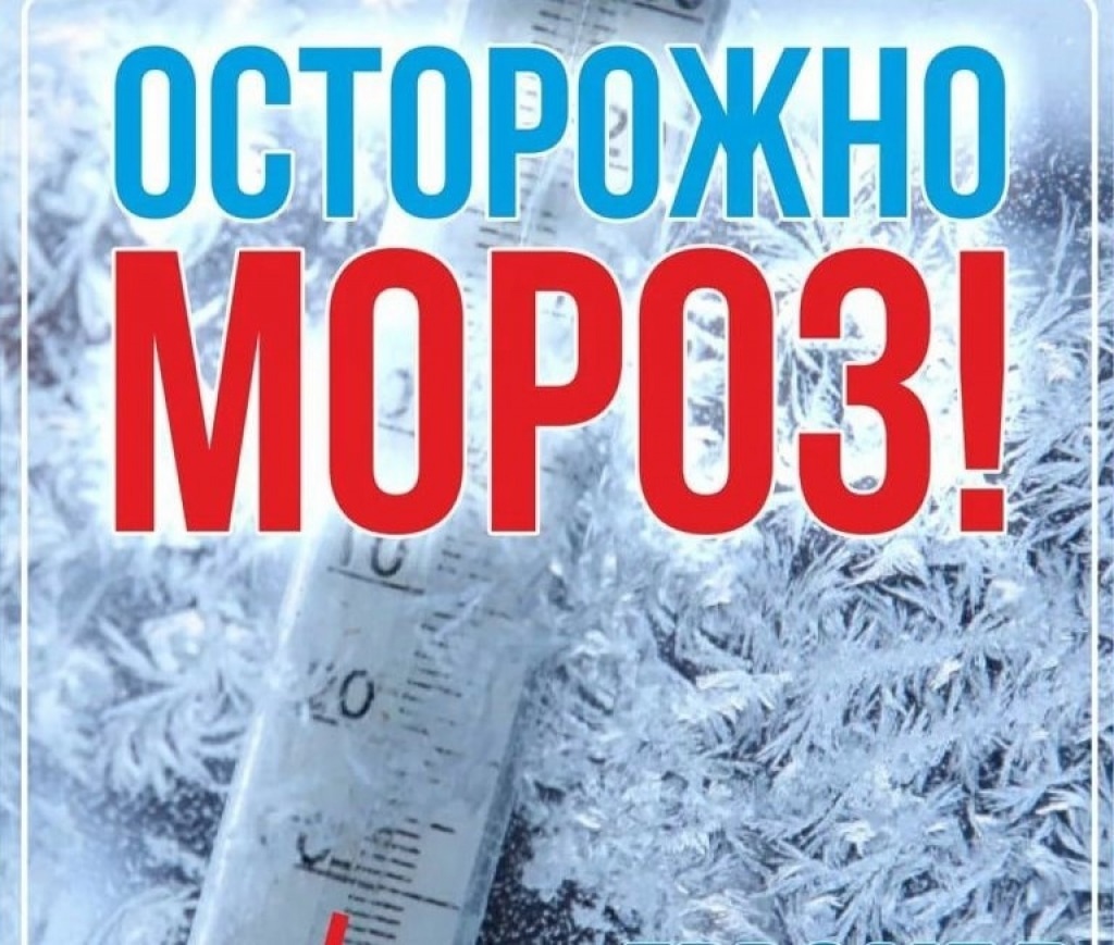 МСЧ информирует