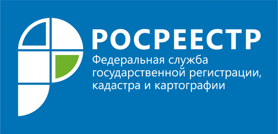  Как проверить земельный участок перед покупкой