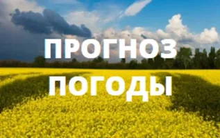 МЧС информирует