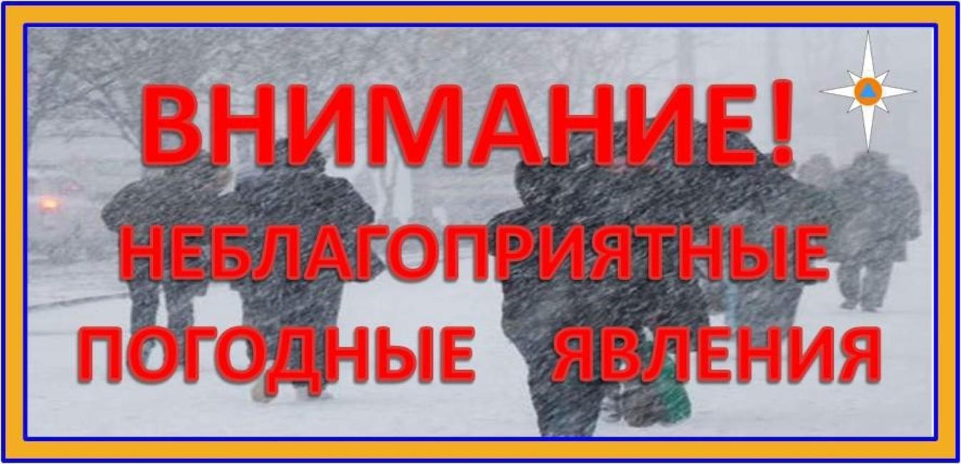 МЧС информирует 04012026