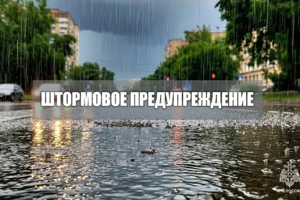 МЧС информирует 09 06 2026