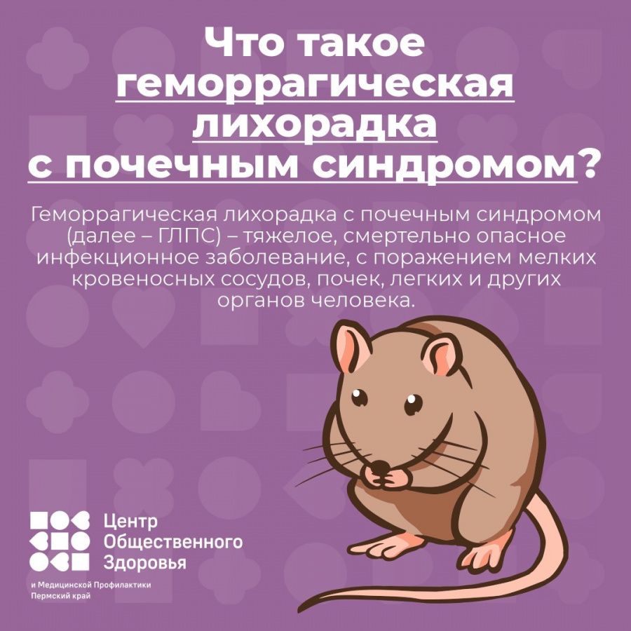 Профилактика ГЛПС