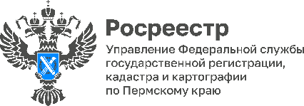 Жители Прикамья смогут проконсультироваться по вопросам соблюдения земельного законодательства на «горячей линии» Росреестра