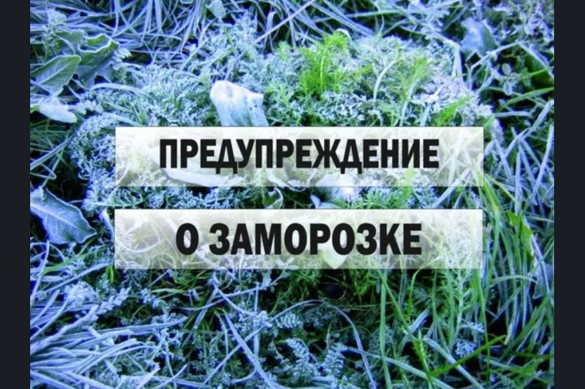 МЧС информирует 23 09 2024 1 