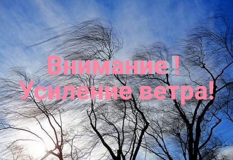 МЧС информирует