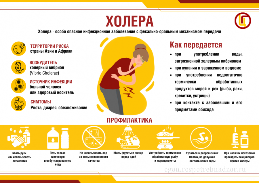Профилактика холеры