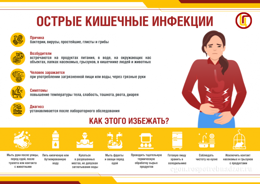 О профилактике острых кишечных инфекций, в том числе сальмонеллеза