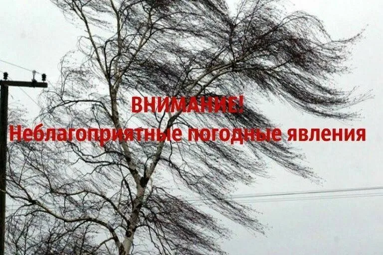 МЧС информирует