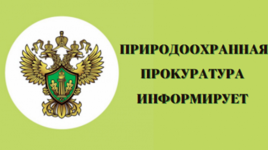Березниковская природоохранная прокуратура информирует 