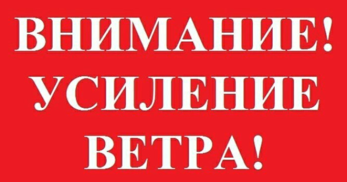 МЧС информирует 27 06 2024 1