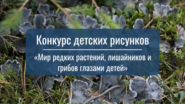 О конкурсе детского рисунка «Мир редких растений, лишайников и грибов глазами детей»