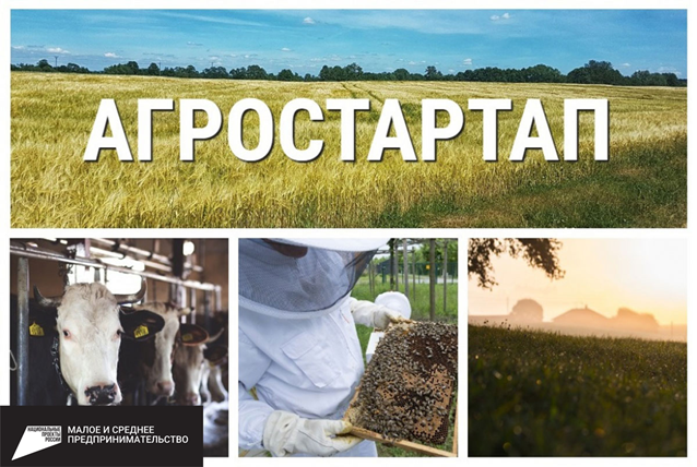 С 3 февраля по 14 февраля 2025 года ФГБОУ ДПО «Татарский институт переподготовки кадров агробизнеса» на бюджетной основе проводит обучение по программе повышения квалификации «Эффективное ведение агробизнеса в условиях малых форм хозяйствования»