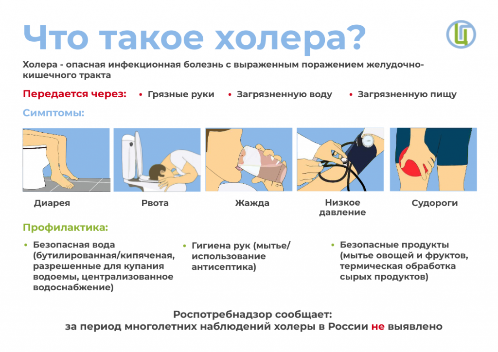 Что такое холера.png