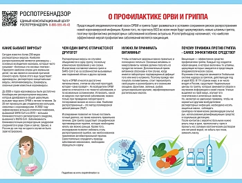 Профилактика гриппа и ОРВИ